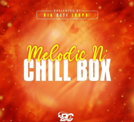 Big Citi Loops Melodic N Chill Box 1 WAV